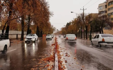 خدمات IT در قصرالدشت شیراز